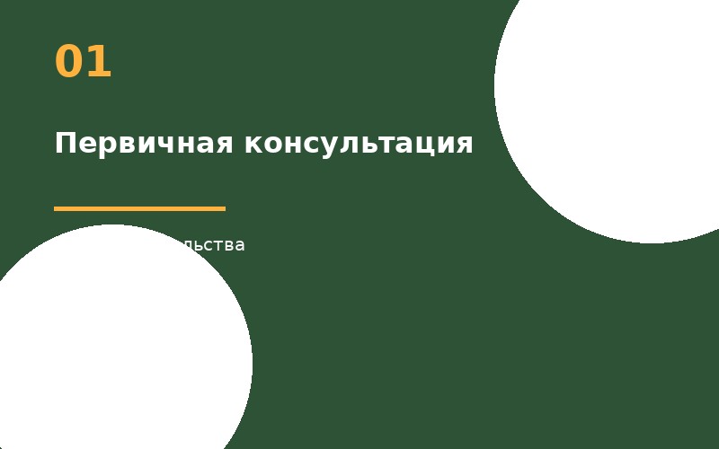 Первичная консультация